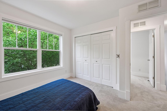 1924 Shamrock Pl, Chaska, MN 55318 - carpeted bedroom featuring baseboards and a closet