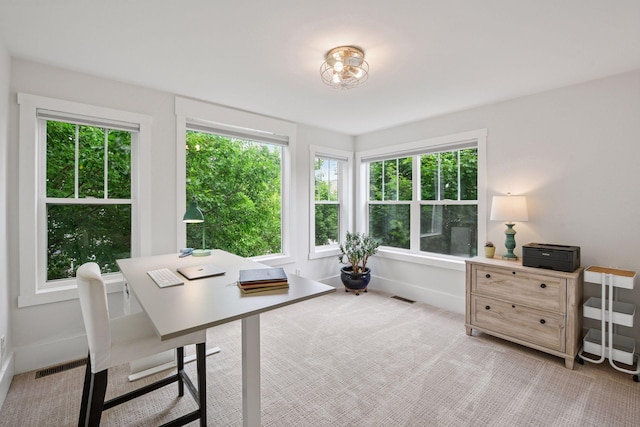 1924 Shamrock Pl, Chaska, MN 55318 - office space with plenty of natural light and light colored carpet