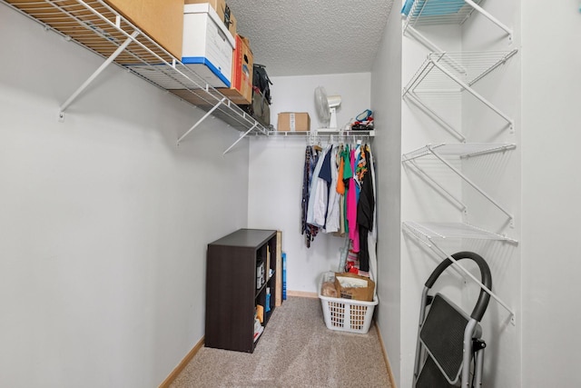 17829 66th Ave N, Maple Grove, MN 55311 - walk in closet featuring carpet flooring