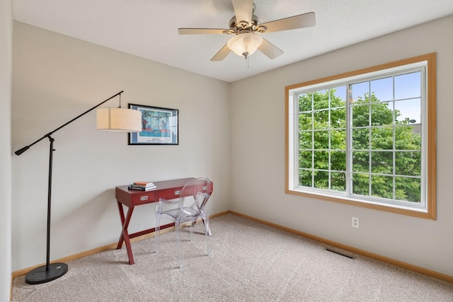17829 66th Ave N, Maple Grove, MN 55311 - office with carpet floors and a ceiling fan