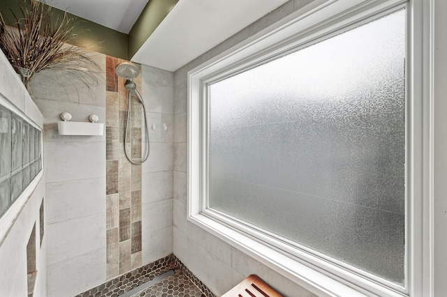 1439 Oakdale Ave W, Saint Paul, MN 55118 - bathroom with tiled shower