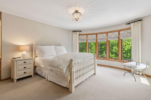 9320 Abigail Ct, Inver Grove Heights, MN 55077 - bedroom with light carpet, multiple windows, baseboards, and a textured ceiling