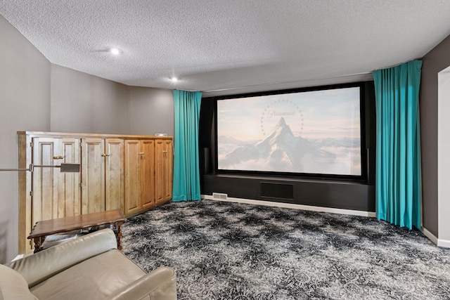 9320 Abigail Ct, Inver Grove Heights, MN 55077 - home theater with carpet floors and a textured ceiling