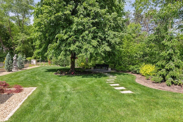 9320 Abigail Ct, Inver Grove Heights, MN 55077 - view of green lawn