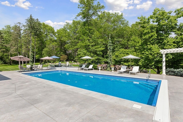9320 Abigail Ct, Inver Grove Heights, MN 55077 - swimming pool with a patio area, a pergola, and view of wooded area