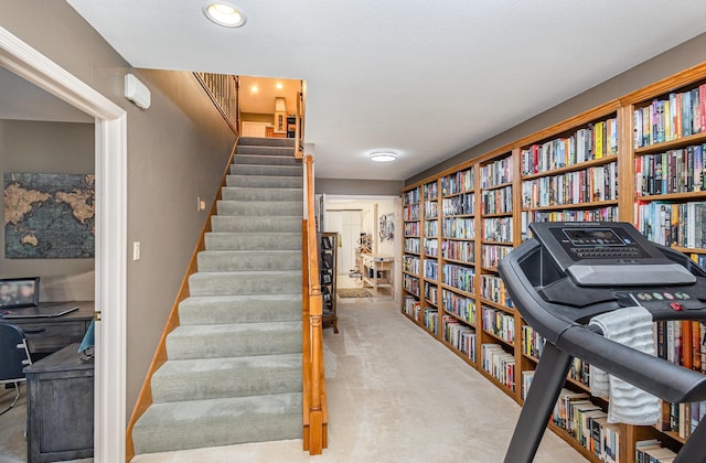 706 Pershing Ave N, New Prague, MN 56071 - stairs with carpet floors
