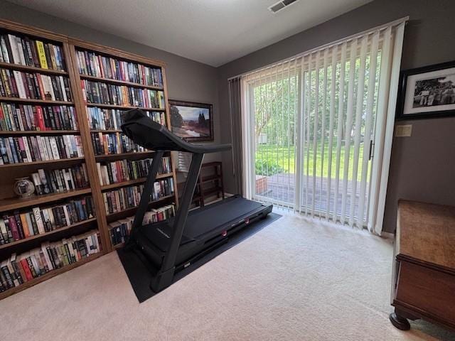 706 Pershing Ave N, New Prague, MN 56071 - exercise area featuring carpet flooring