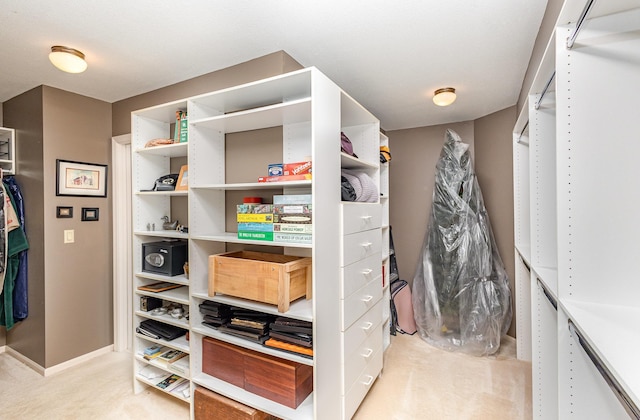 706 Pershing Ave N, New Prague, MN 56071 - walk in closet with carpet floors