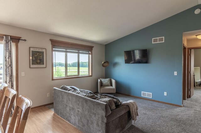 250 18th Ave SE, Saint Joseph, MN 56374 - living area with lofted ceiling and baseboards