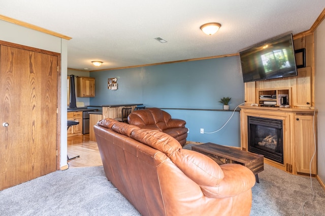 250 18th Ave SE, Saint Joseph, MN 56374 - living room with crown molding, a glass covered fireplace, and light colored carpet