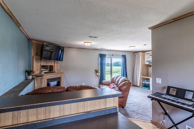 250 18th Ave SE, Saint Joseph, MN 56374 - living area with a textured ceiling, ornamental molding, a glass covered fireplace, and a textured wall