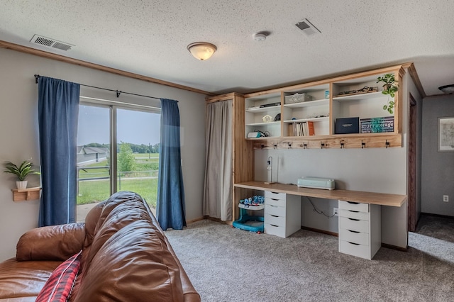 250 18th Ave SE, Saint Joseph, MN 56374 - home office with carpet flooring and a textured ceiling