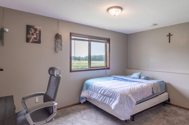 250 18th Ave SE, Saint Joseph, MN 56374 - bedroom with carpet flooring and baseboards