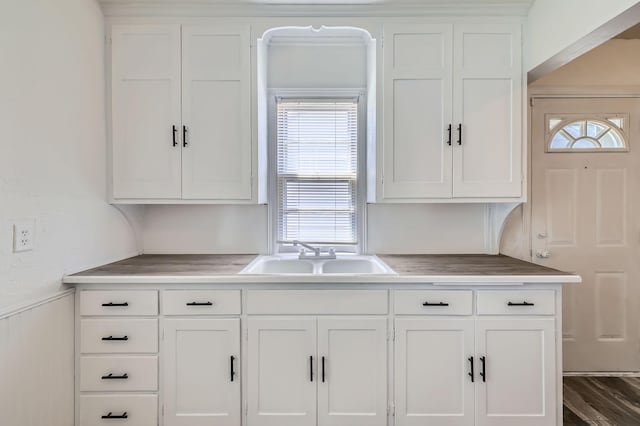 4921 Fremont Ave N, Minneapolis, MN 55430 - kitchen with a sink, white cabinetry, and light countertops