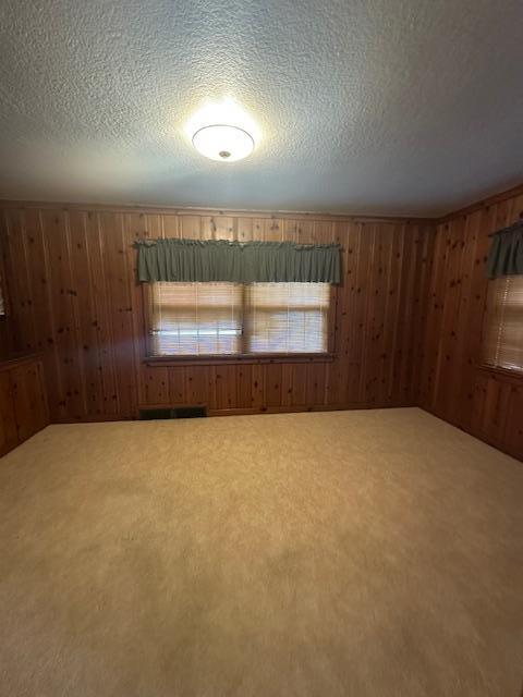 700 Oakland Pl NE, Austin, MN 55912 - empty room with wooden walls, carpet, and a textured ceiling