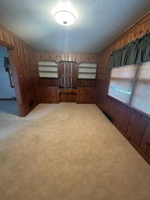 700 Oakland Pl NE, Austin, MN 55912 - spare room featuring wooden walls, a textured ceiling, and light colored carpet
