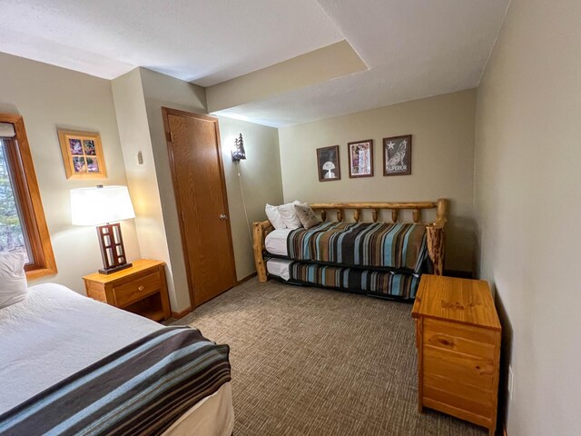 529 Moose Mountain Dr, Lutsen Twp, MN 55615 - view of carpeted bedroom