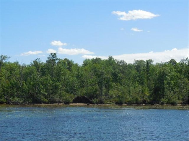 TBD Forest Lane, Fine Lakes Twp, MN 55798