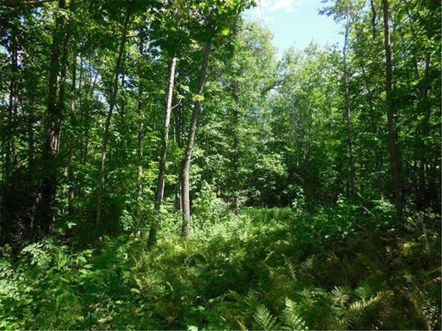 TBD Forest Lane, Fine Lakes Twp, MN 55798