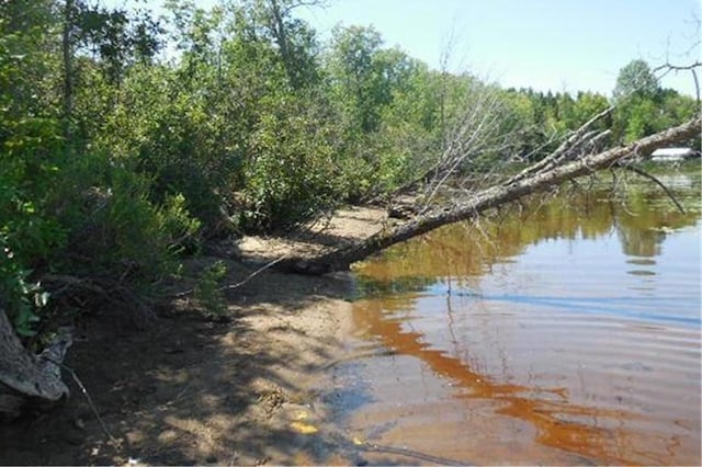 TBD Forest Lane, Fine Lakes Twp, MN 55798
