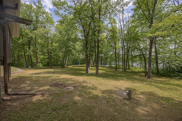 4535 72nd St NW, Walker, MN 56484 - photo 24