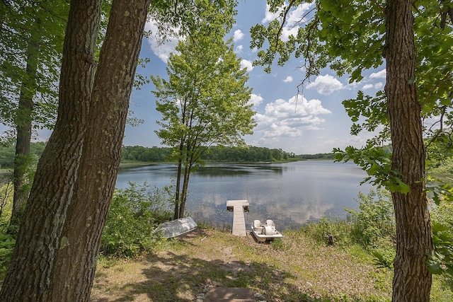 4535 72nd St NW, Walker, MN 56484 - photo 31