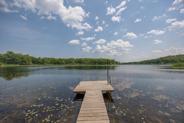 4535 72nd St NW, Walker, MN 56484 - photo 32