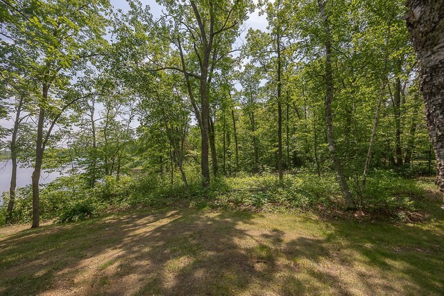 4535 72nd St NW, Walker, MN 56484 - photo 35