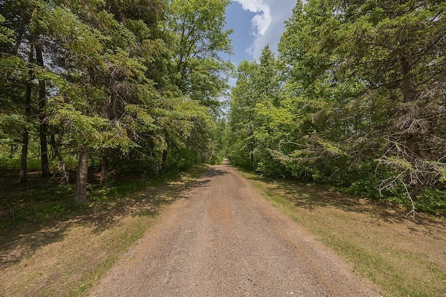4535 72nd St NW, Walker, MN 56484 - photo 36