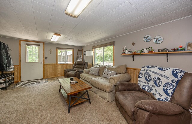 4535 72nd St NW, Walker, MN 56484 - photo 8
