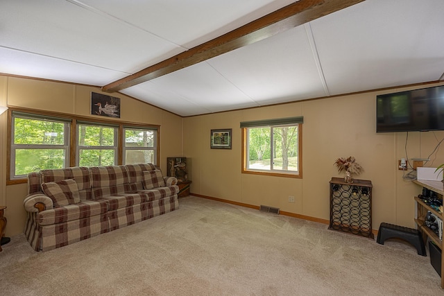 4535 72nd St NW, Walker, MN 56484 - photo 10