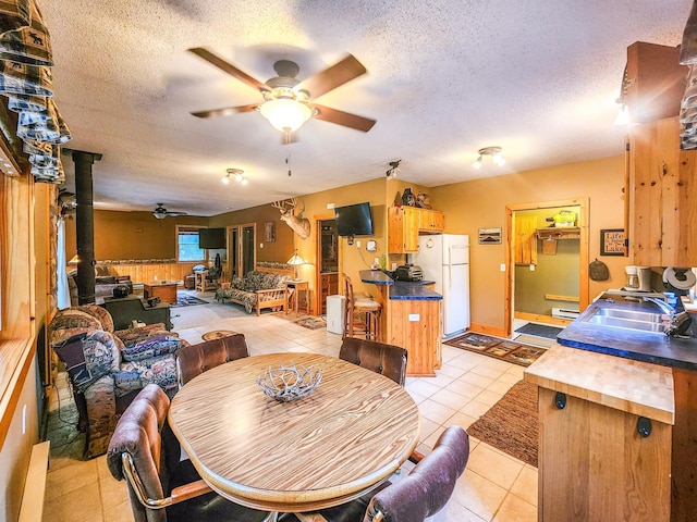 10547 Vermeil Dr NE, Deer River, MN 56636 - dining space with a ceiling fan, light tile patterned flooring, a textured ceiling, a wood stove, and a baseboard radiator