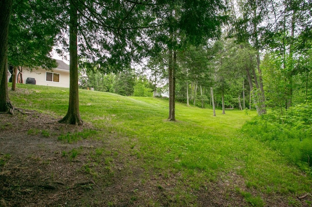 10547 Vermeil Dr NE, Deer River, MN 56636 - view of grassy yard