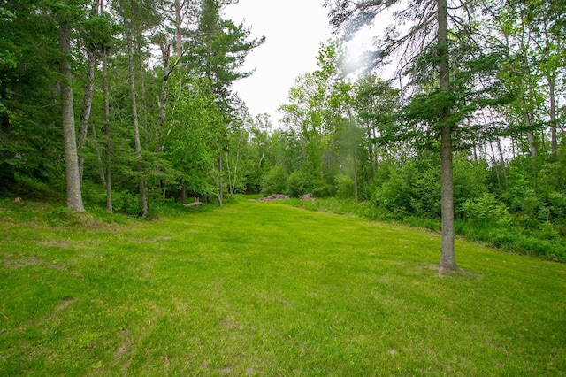 10547 Vermeil Dr NE, Deer River, MN 56636 - view of green lawn