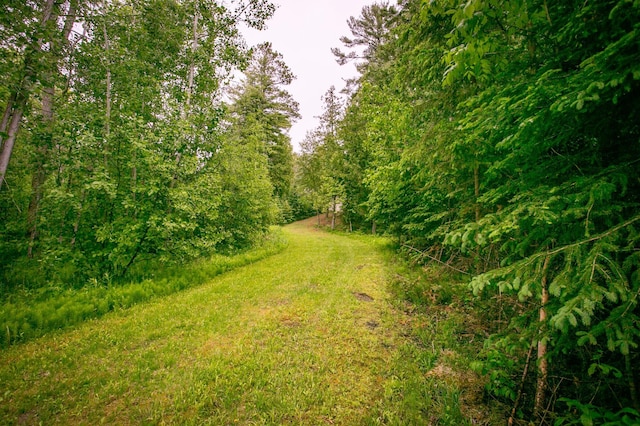 10547 Vermeil Dr NE, Deer River, MN 56636 - view of yard featuring a forest view