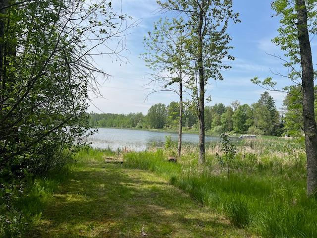 10547 Vermeil Dr NE, Deer River, MN 56636 - water view with a forest