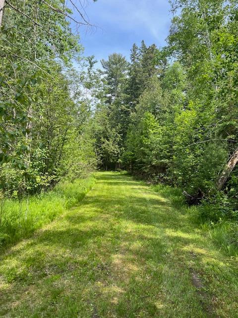 10547 Vermeil Dr NE, Deer River, MN 56636 - view of yard featuring a forest view