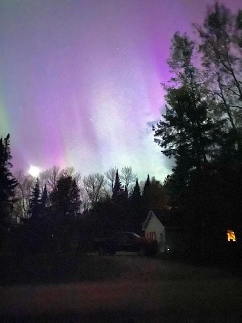 10547 Vermeil Dr NE, Deer River, MN 56636 - view of yard at dusk
