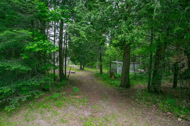 10547 Vermeil Dr NE, Deer River, MN 56636 - view of street