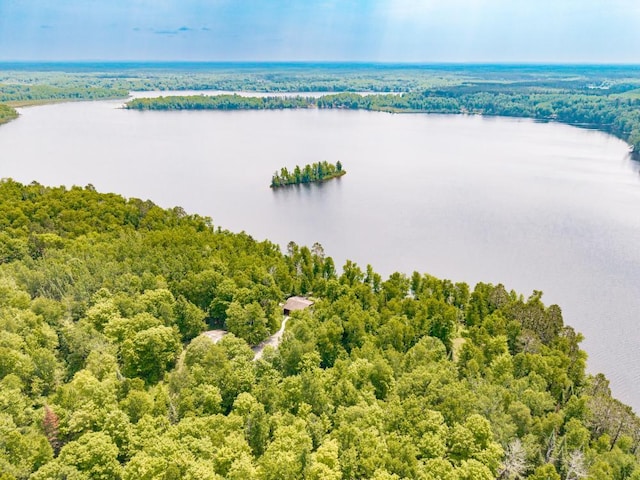 45517 County Road 346, Balsam Twp, MN 55709 - aerial view of a large body of water