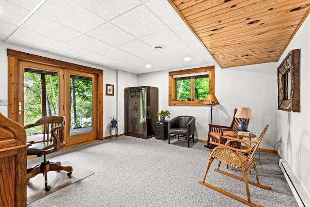 45517 County Road 346, Balsam Twp, MN 55709 - carpeted office featuring a baseboard heating unit and baseboards