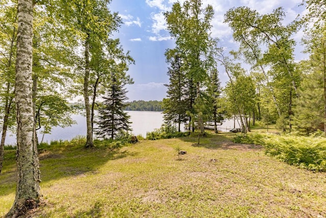 45517 County Road 346, Balsam Twp, MN 55709 - view of yard with a water view and a forest view