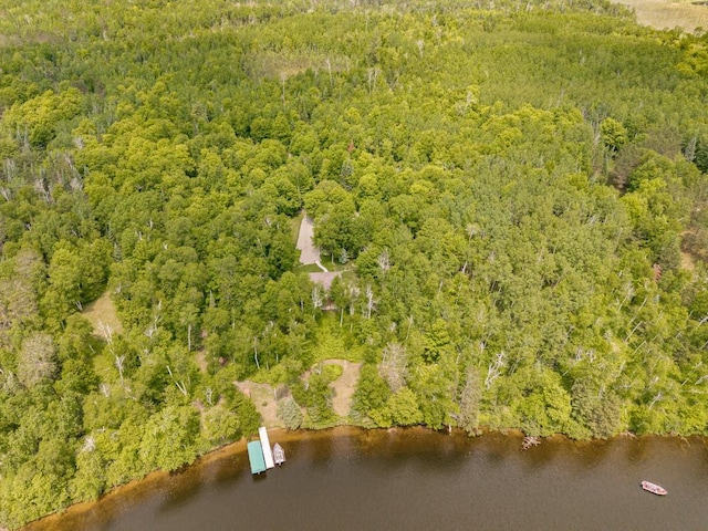 45517 County Road 346, Balsam Twp, MN 55709 - aerial view of a forest and a large body of water