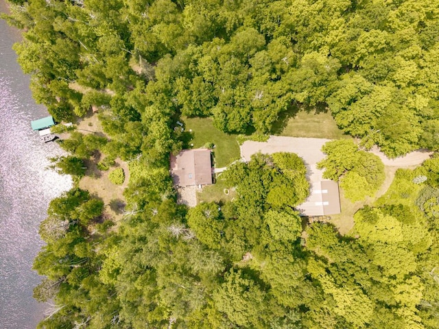 45517 County Road 346, Balsam Twp, MN 55709 - aerial view