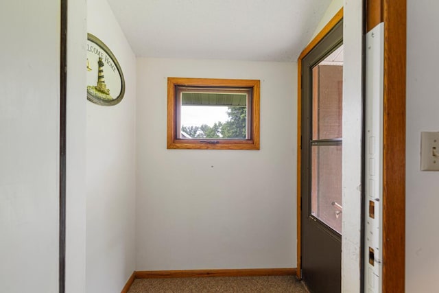 51343 20th Ave, Kenyon Twp, MN 55946 - hallway with baseboards and carpet