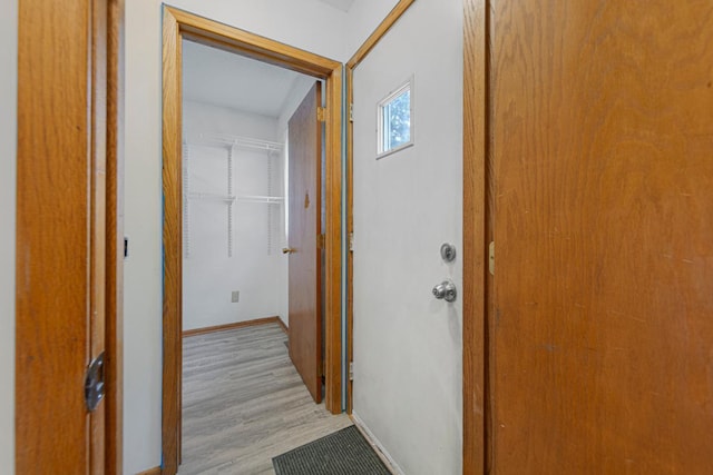 51343 20th Ave, Kenyon Twp, MN 55946 - hall featuring light wood-style floors and baseboards