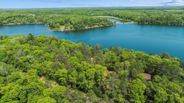 13964 Hardy Lake Rd SW, Pillager, MN 56473