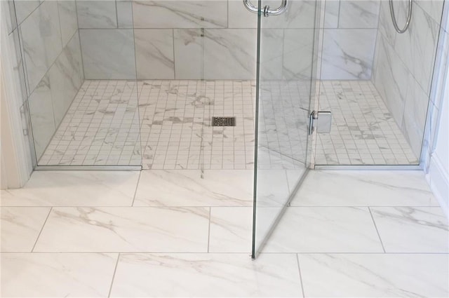 TBB403 College St, Northfield, MN 55057 - full bathroom with a shower stall and marble finish flooring