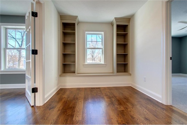 TBB403 College St, Northfield, MN 55057 - interior space with dark wood-style floors, baseboards, and healthy amount of natural light
