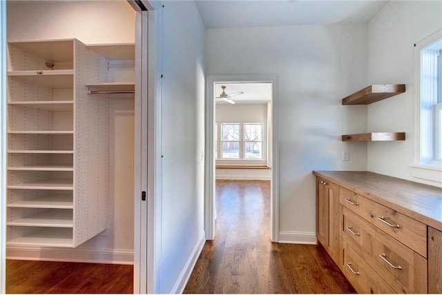 TBB403 College St, Northfield, MN 55057 - corridor featuring dark wood-type flooring, plenty of natural light, and baseboards